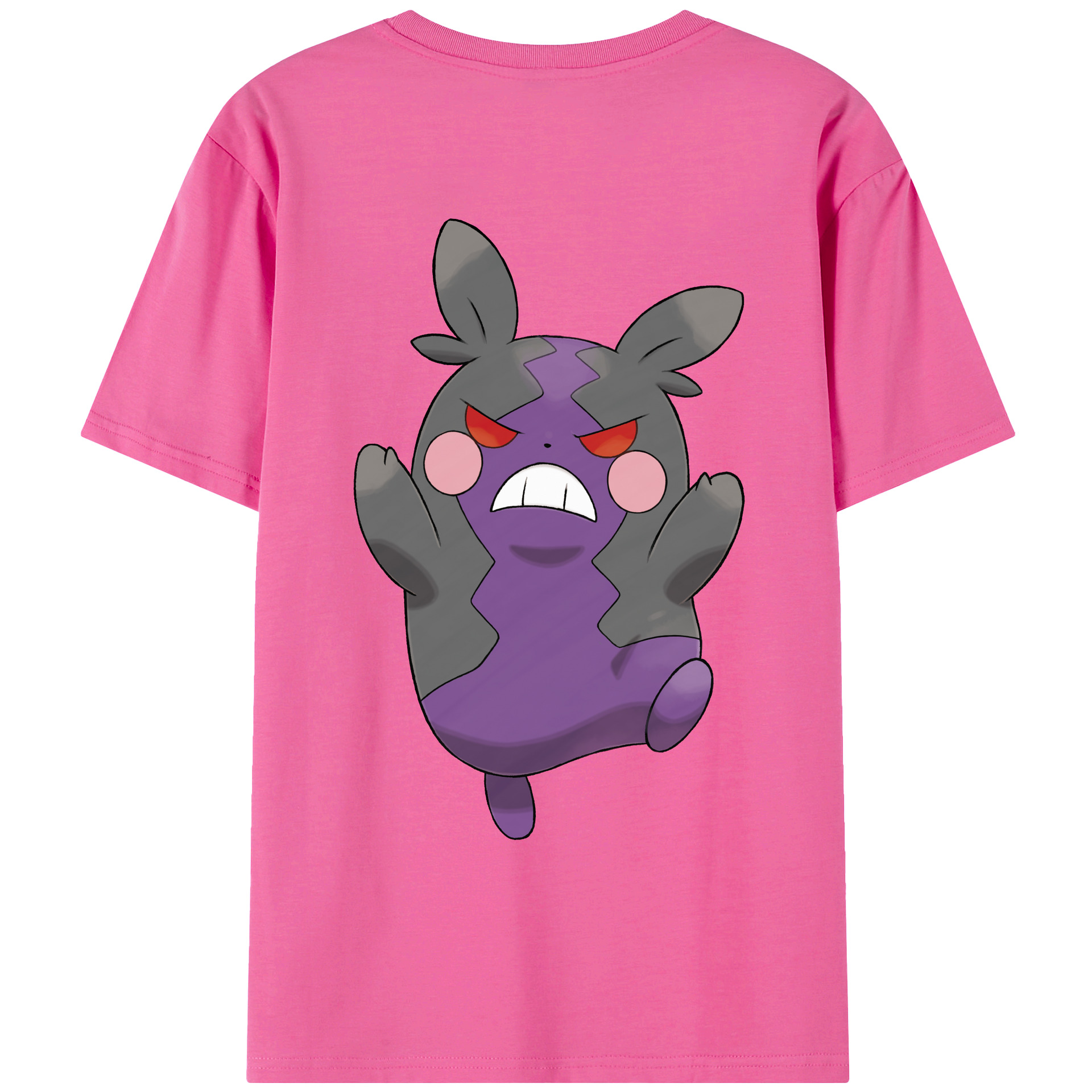 （画像用） ポケットモンスター Pokémon レディース半袖Tシャツ(バックプリント)